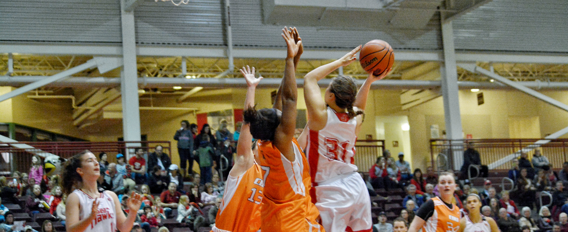 Sea-Hawks look to tame Panthers in PEI