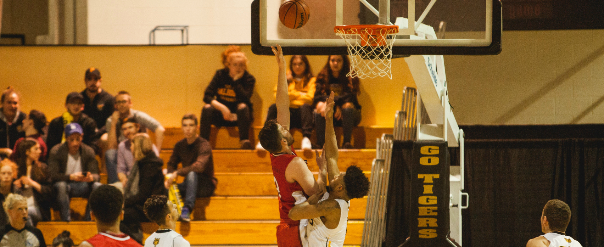 Tigers Edge Sea-Hawks