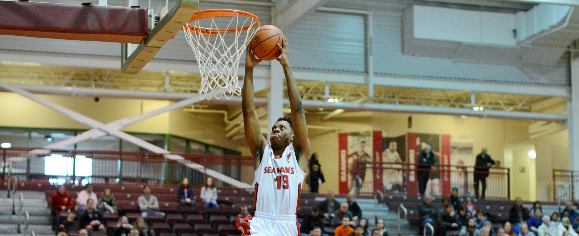 Sea-Hawks Earn Big Win over Capers