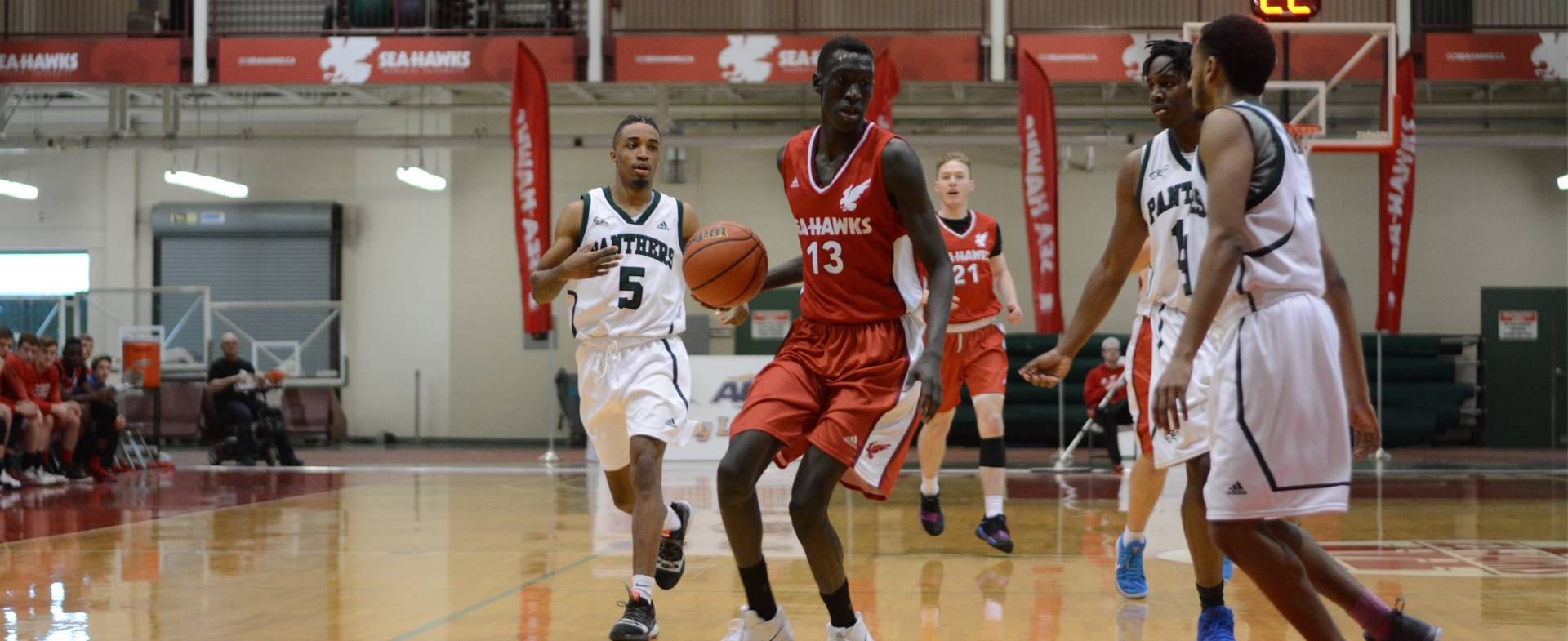 Sea-Hawks Sweep Panthers