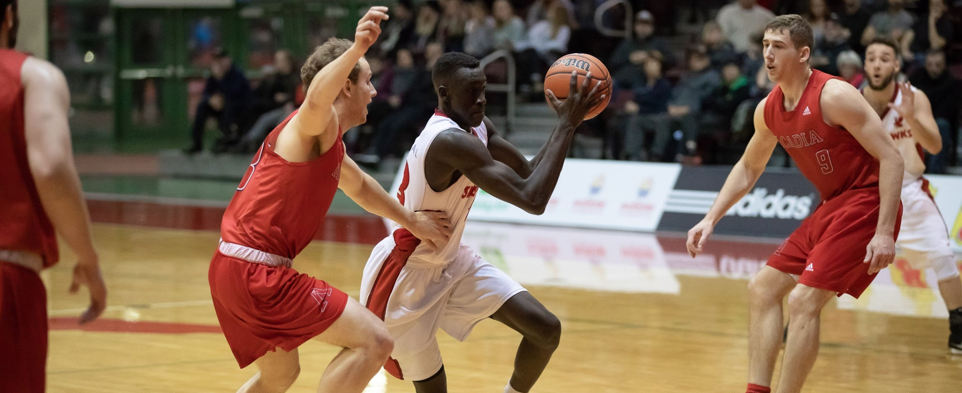 SEA-HAWKS PRESEASON: 7 GAMES IN 10 DAYS