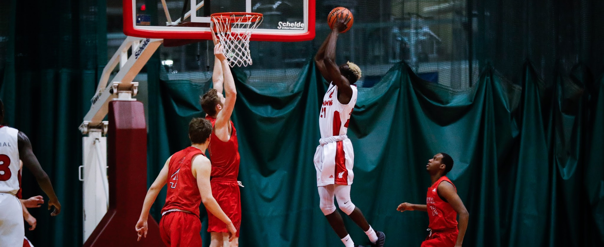 Sea-Hawks Soar High on Saturday Night