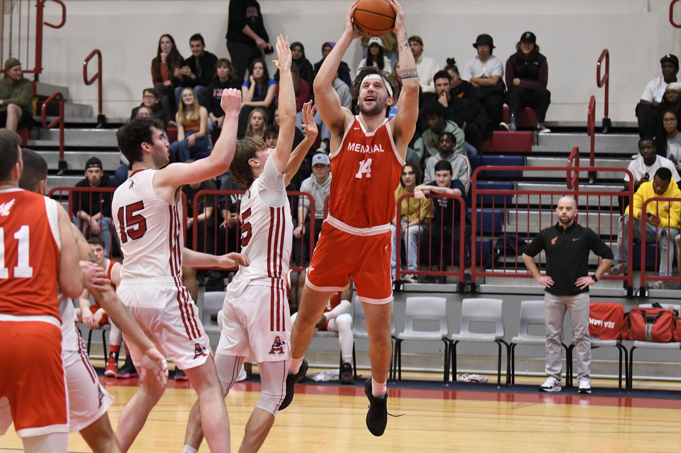 Sea-Hawks on a 4 Game Winning Streak
