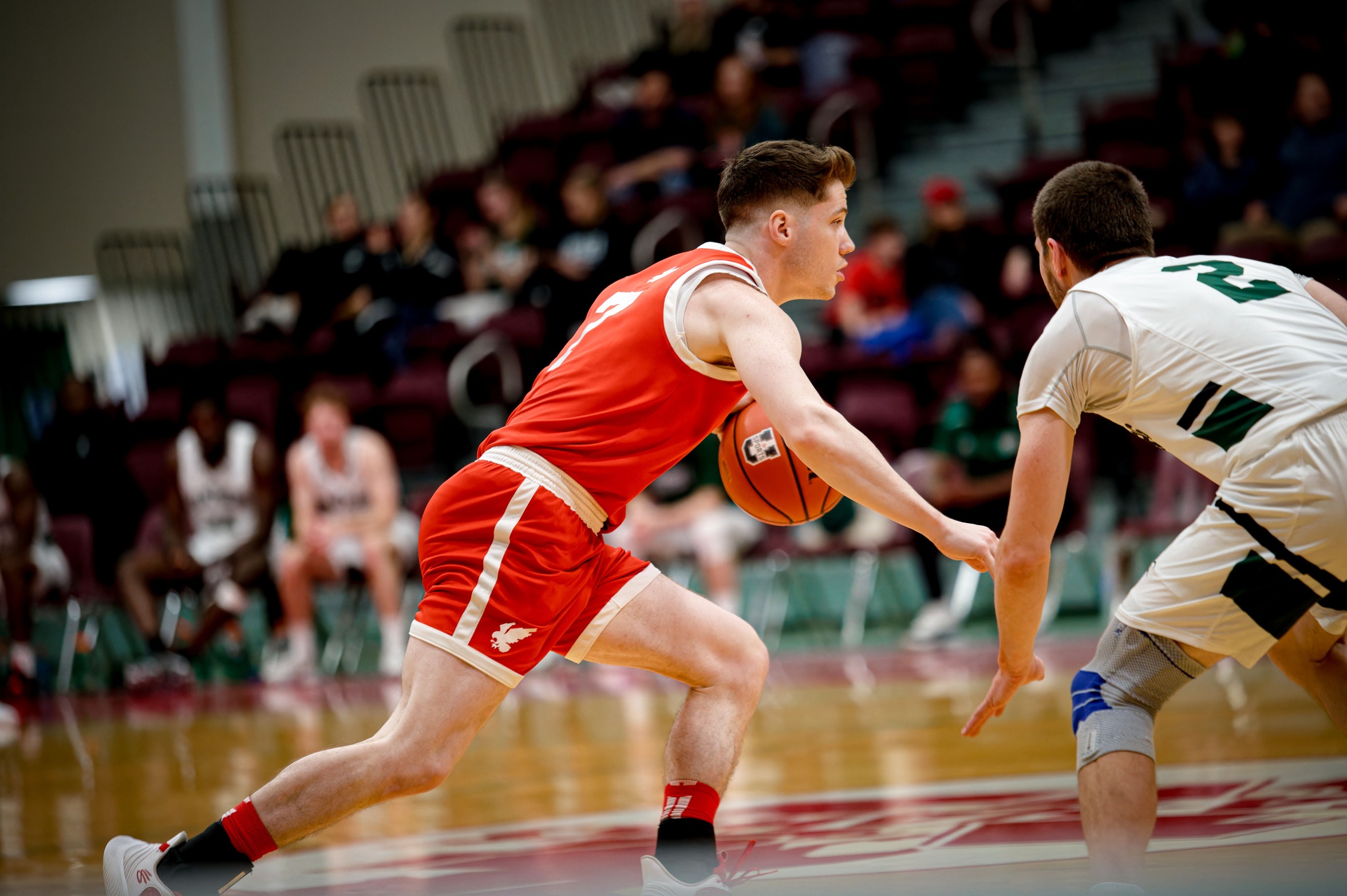 Sea-Hawks look to Extend Win Streak
