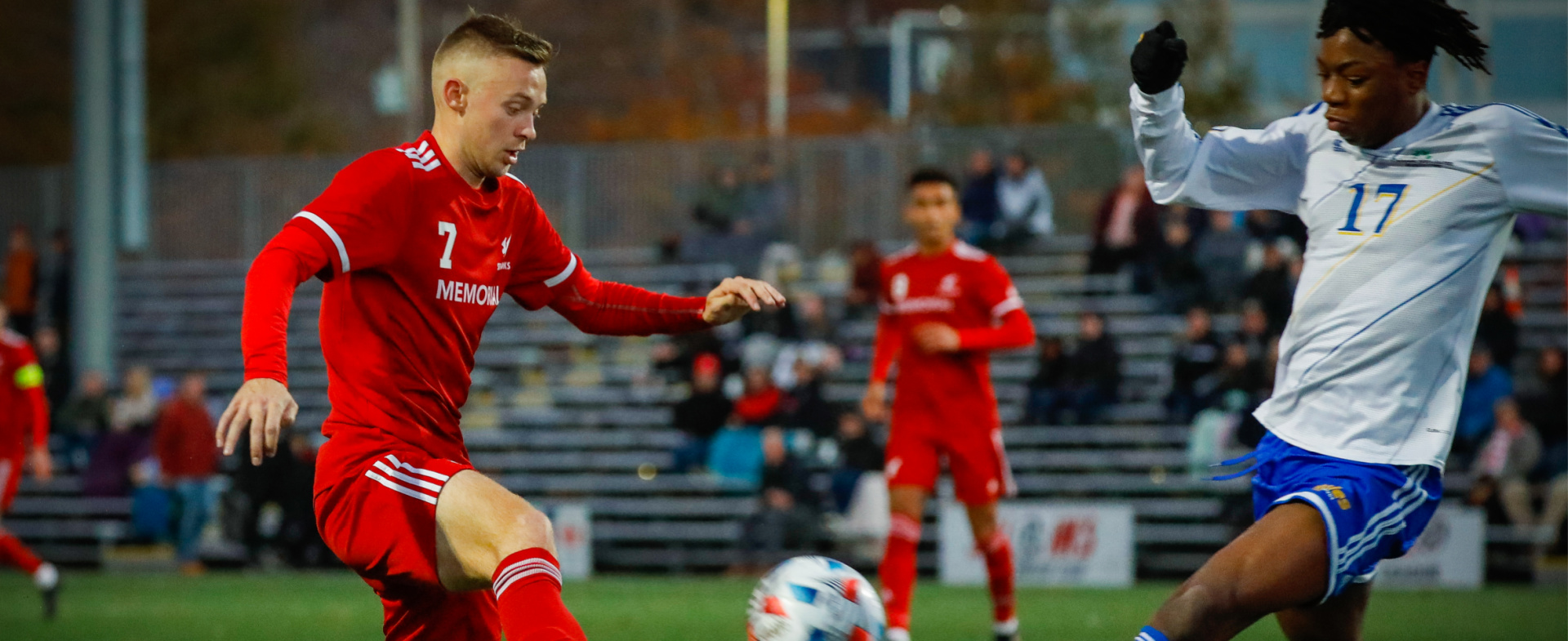 Sea-Hawks Clinch Playoff Spot