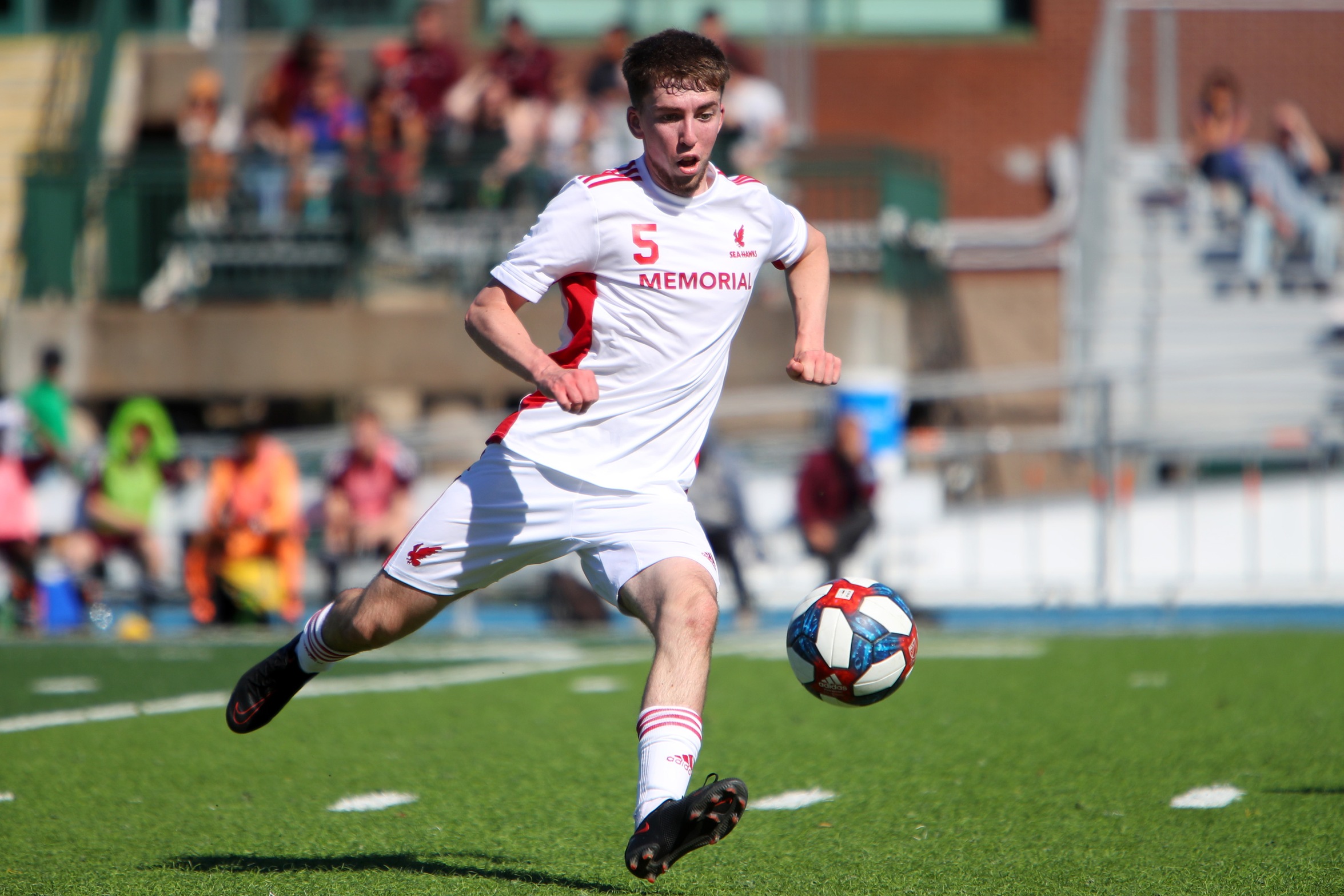 Sea-Hawks Are Back On the Road