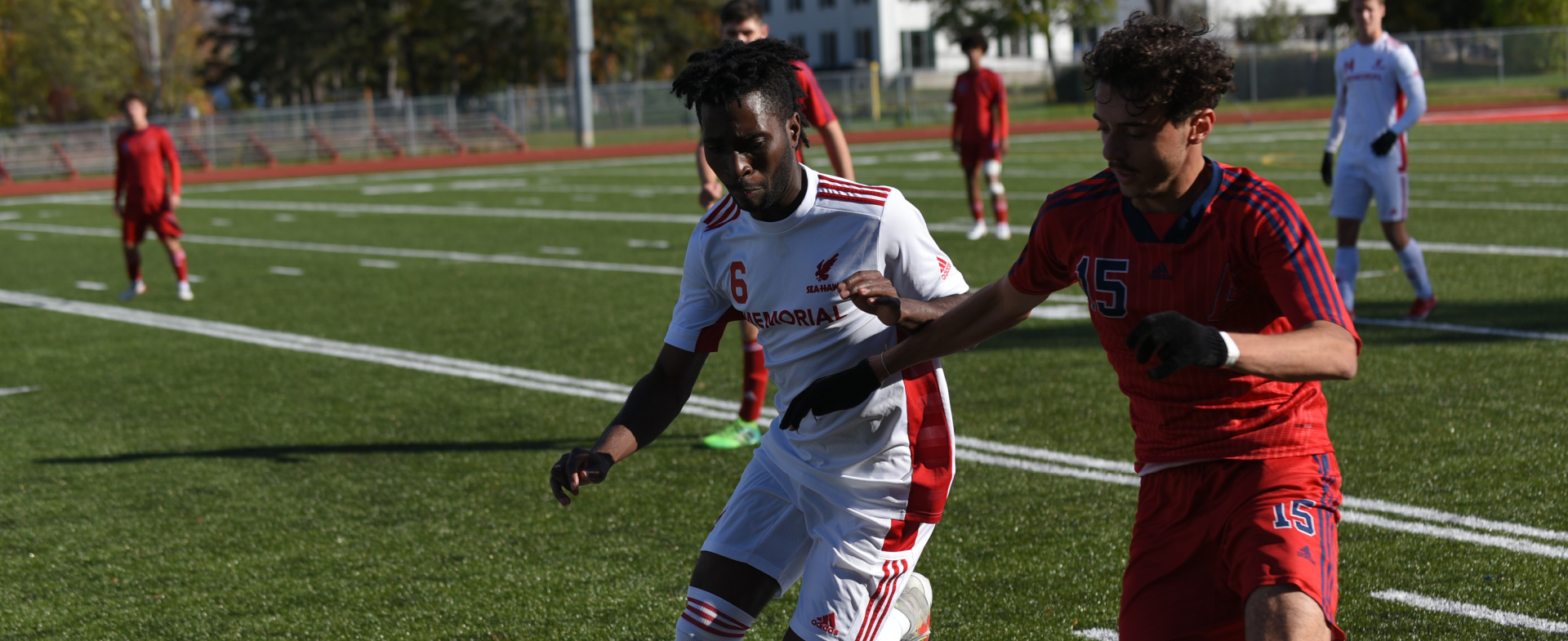 Sea-Hawks Bounce Back