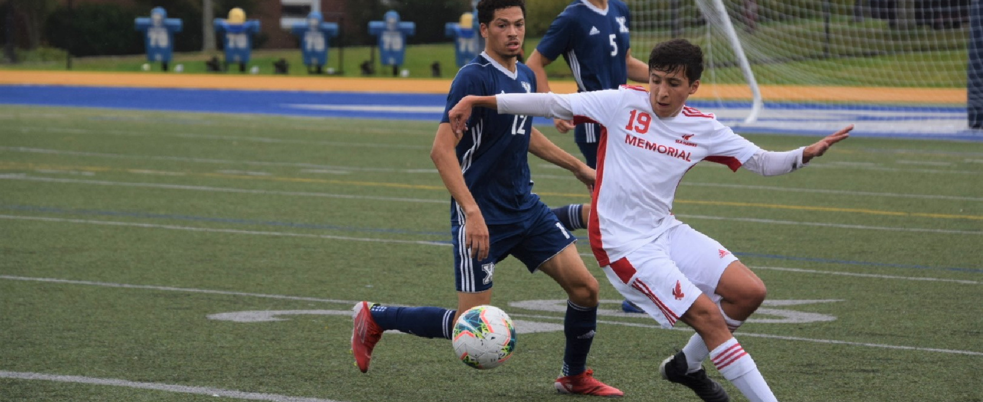 Sea-Hawks Suffer a Tough Loss