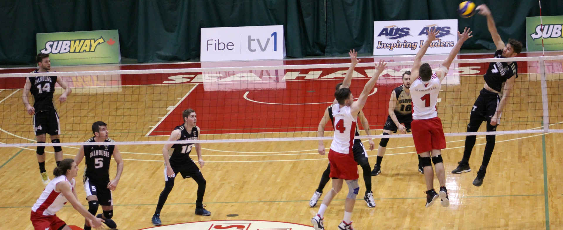 Tigers Sweep Weekend Series Over Sea-Hawks