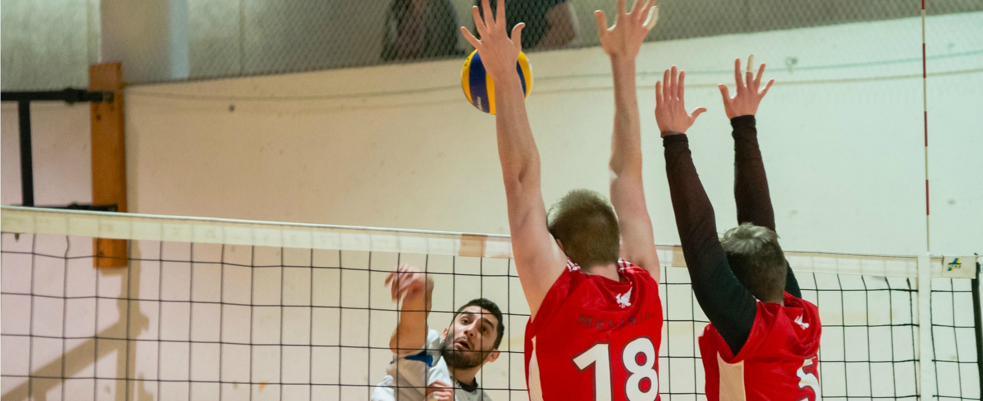 Sea-Hawks drop final match at interlock