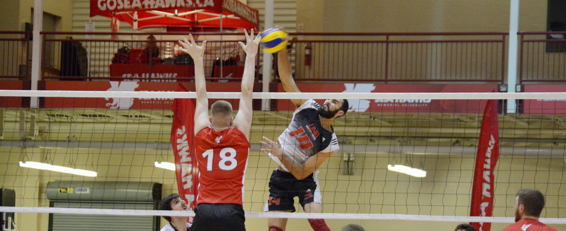 Sea-Hawks visit Varsity Reds for weekend set