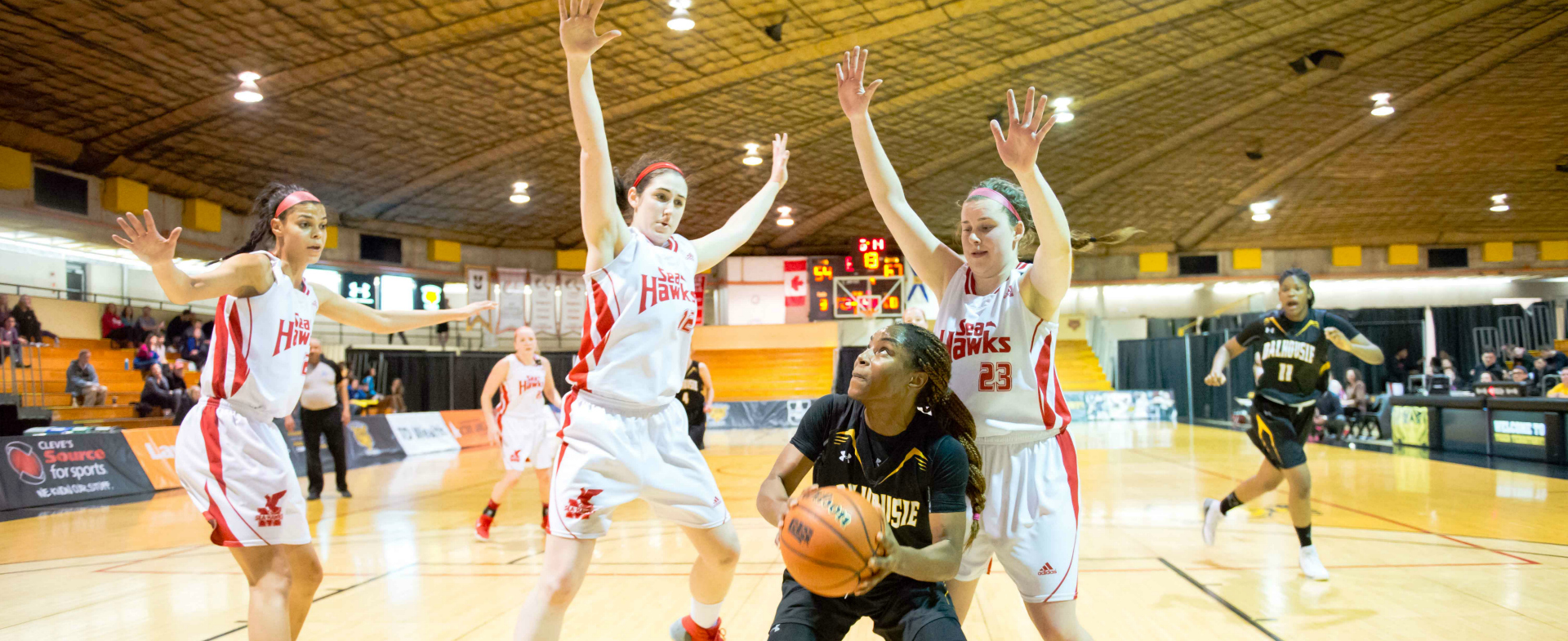 Sea-Hawks & Tigers Split Weekend Series