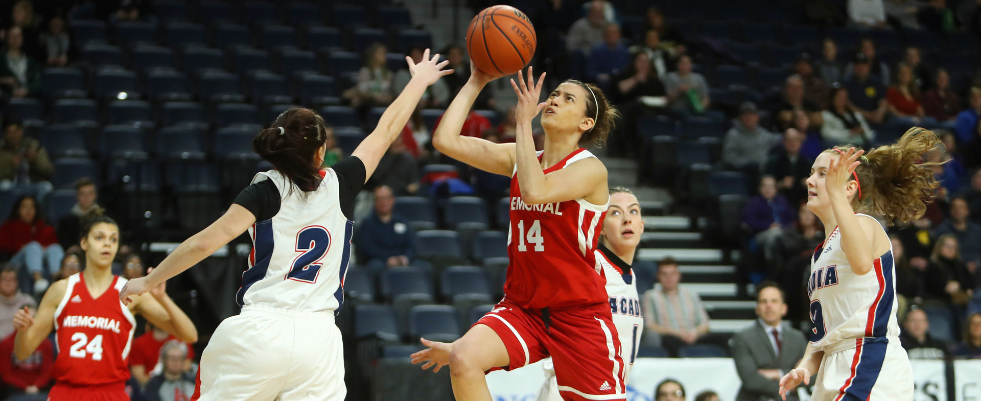 Sea-Hawks Fall Short in Final