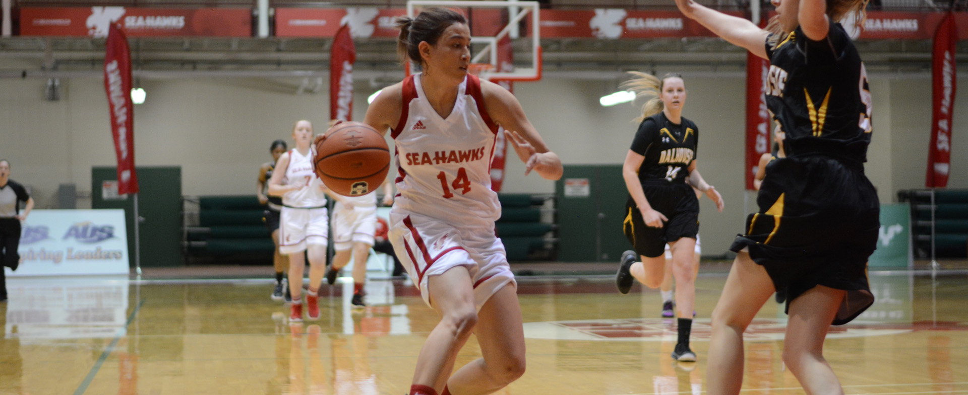 Sea-Hawks Clinch 5th Seed