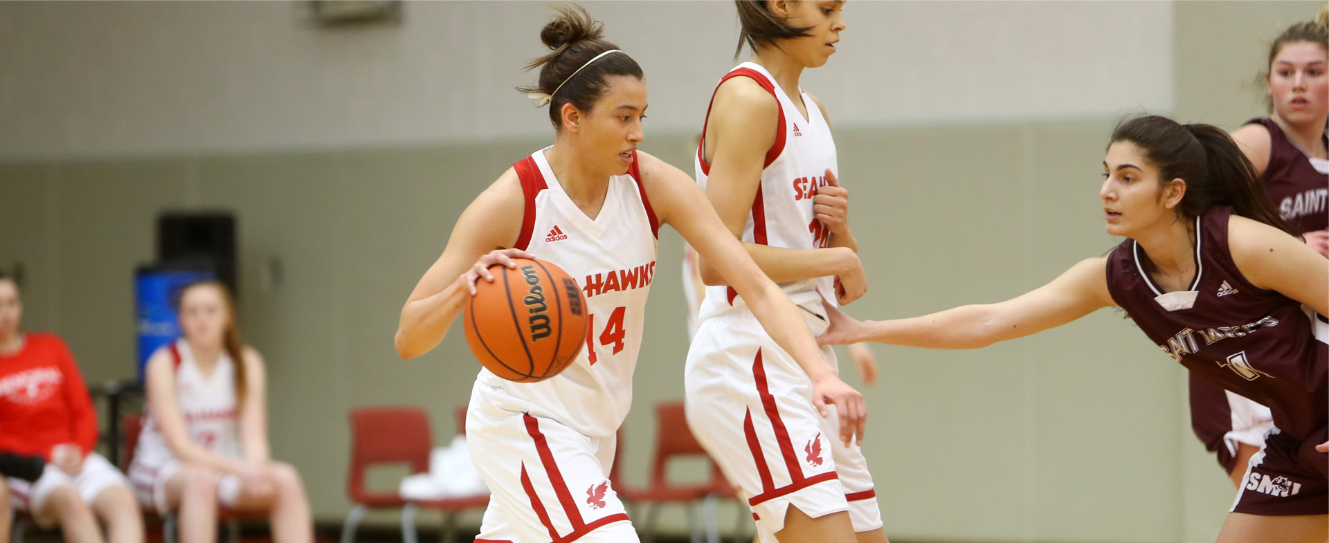 Sea-Hawks & Huskies Split Series