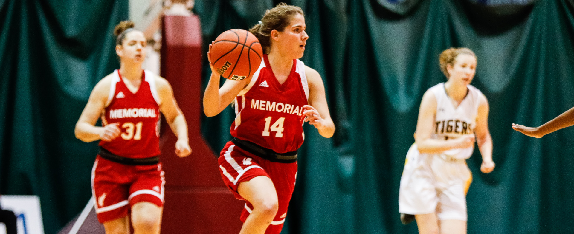 Sea-Hawks Sweep Tigers to Start 2020