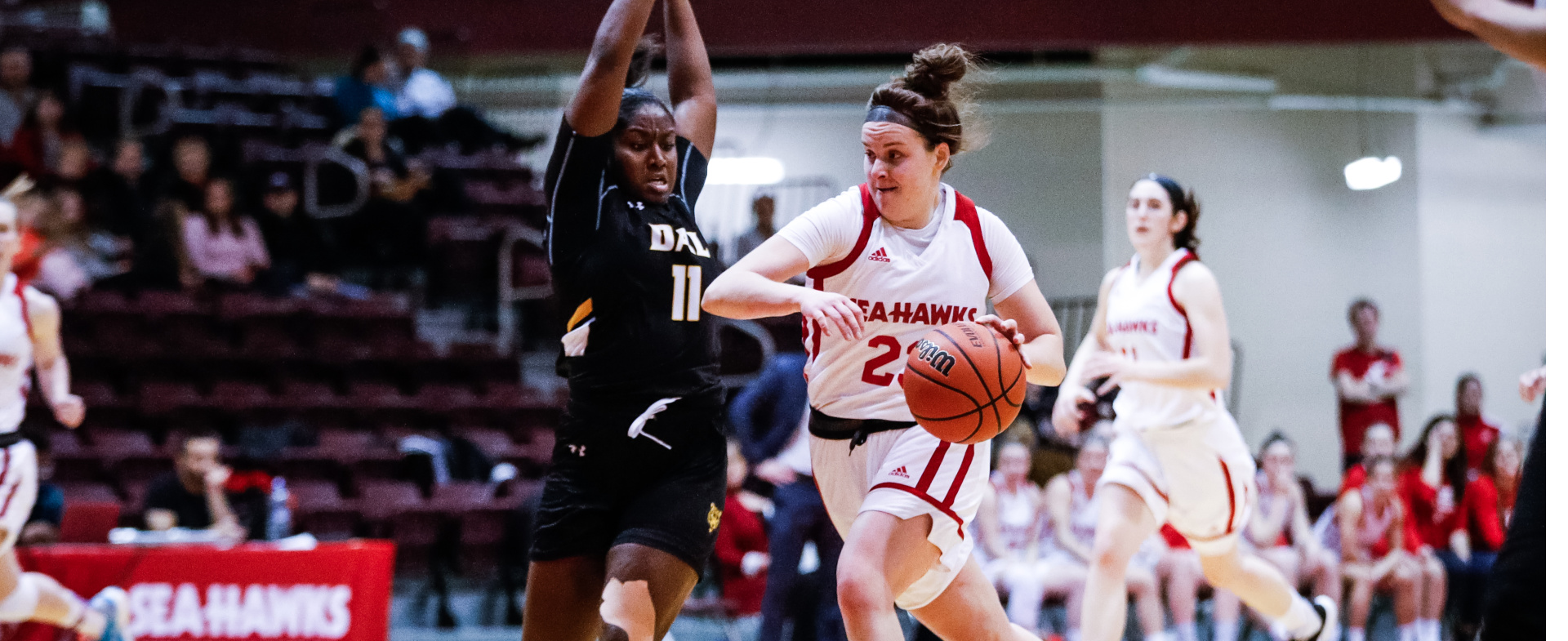 Hawks Win Big Over Dalhousie