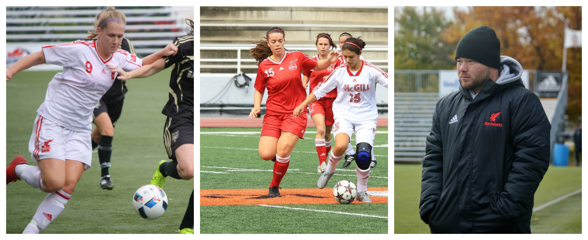 Sea-Hawks win big at AUS Awards Banquet