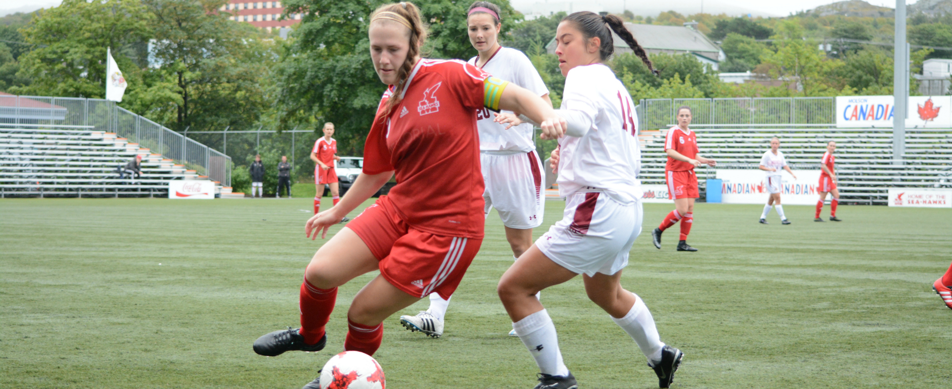 Hawks Head to Halifax to Battle Huskies & Tigers