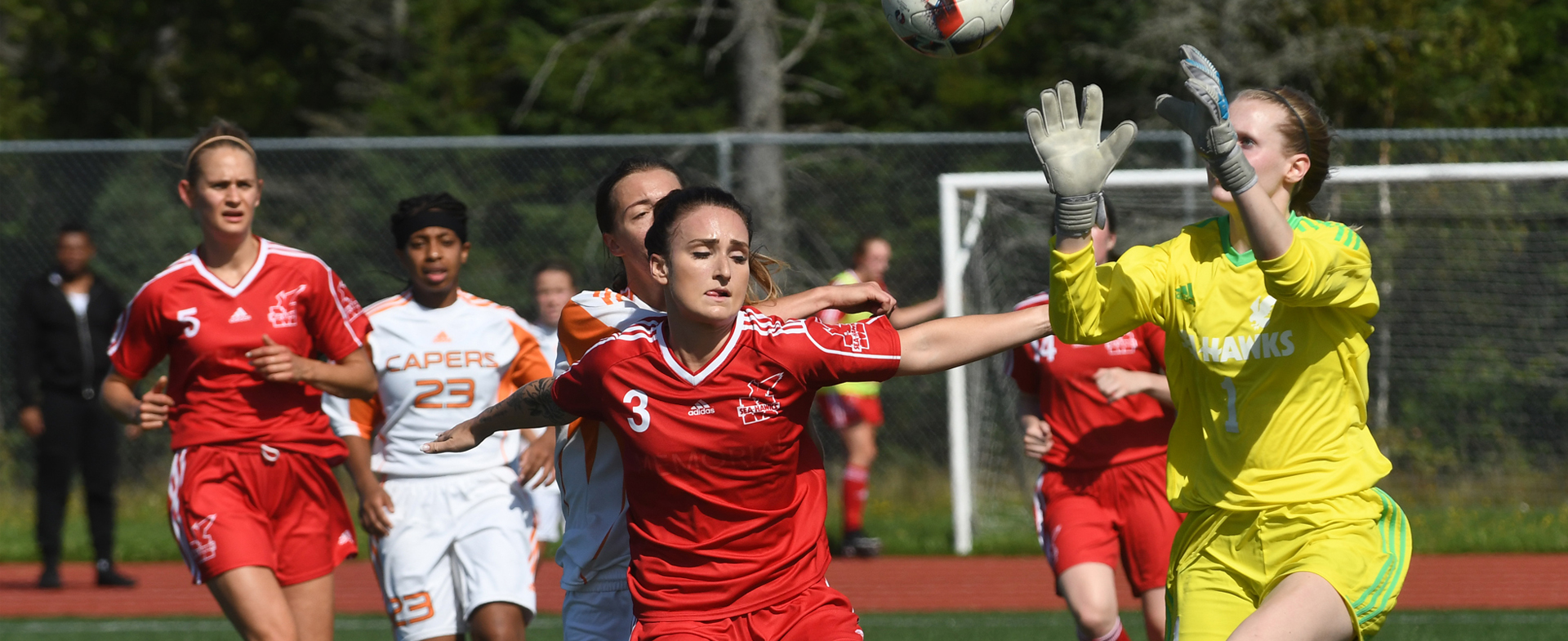 Sea-Hawks Drop First Game of the Season