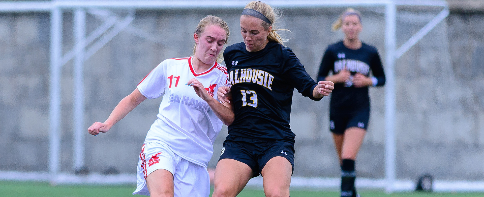 Sea-Hawks Look to Stay on Top