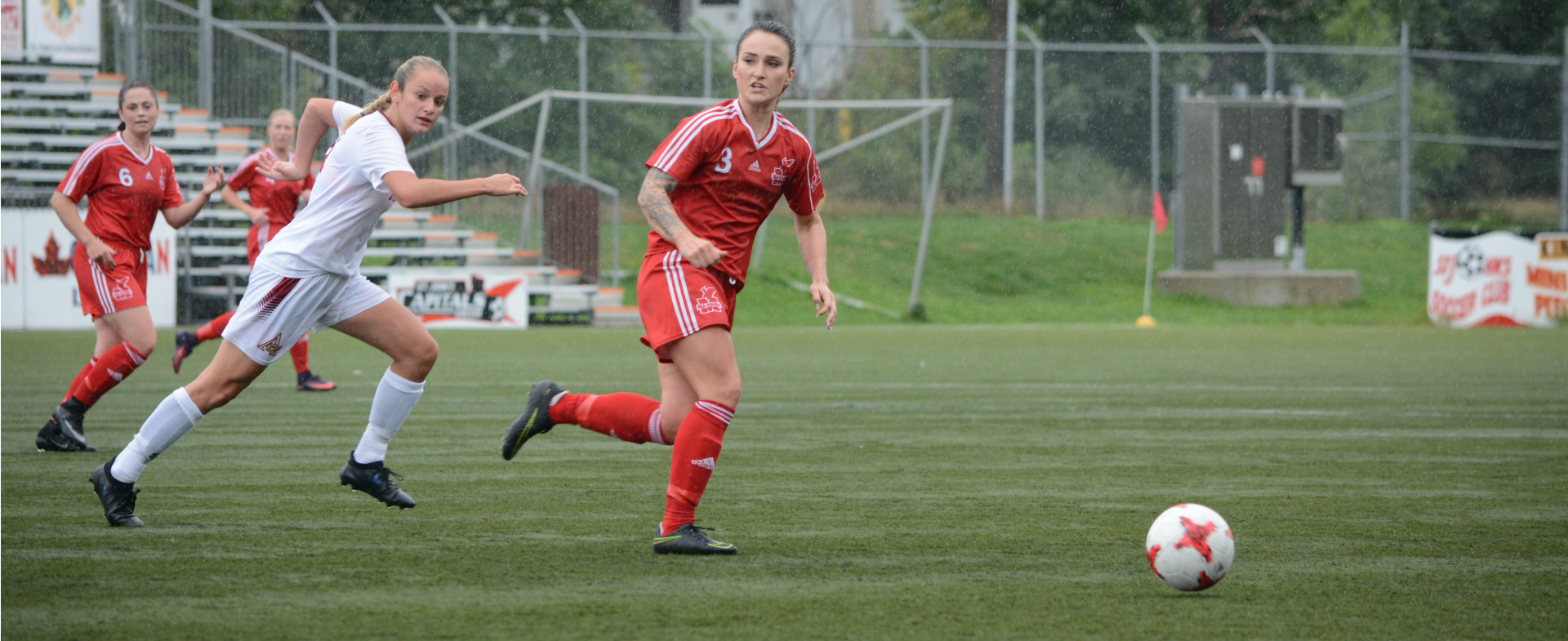 Sea-Hawks Flying High After Opening Weekend