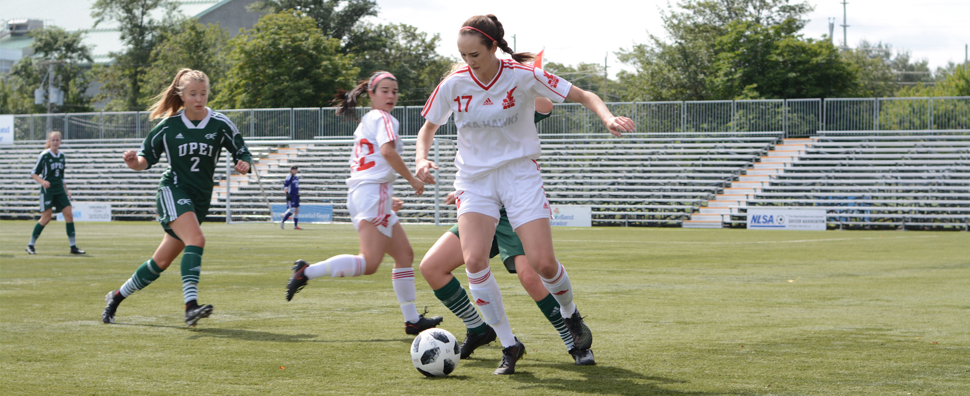 Sea-Hawks on the Hunt for a Win
