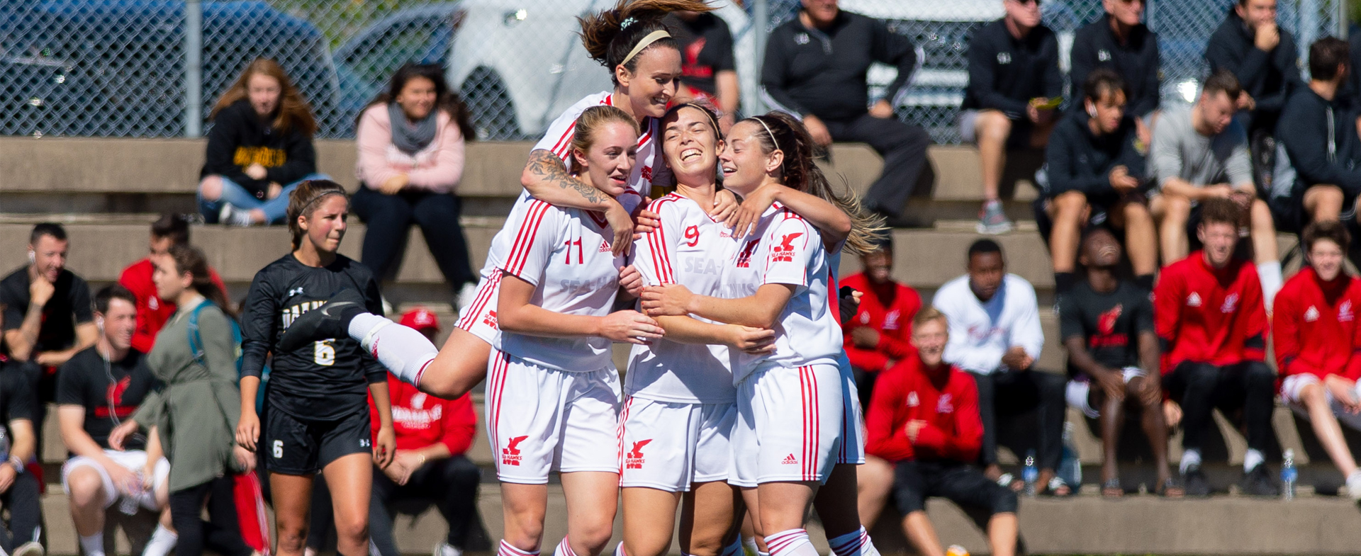 Sea-Hawks Earn 6 Road Points