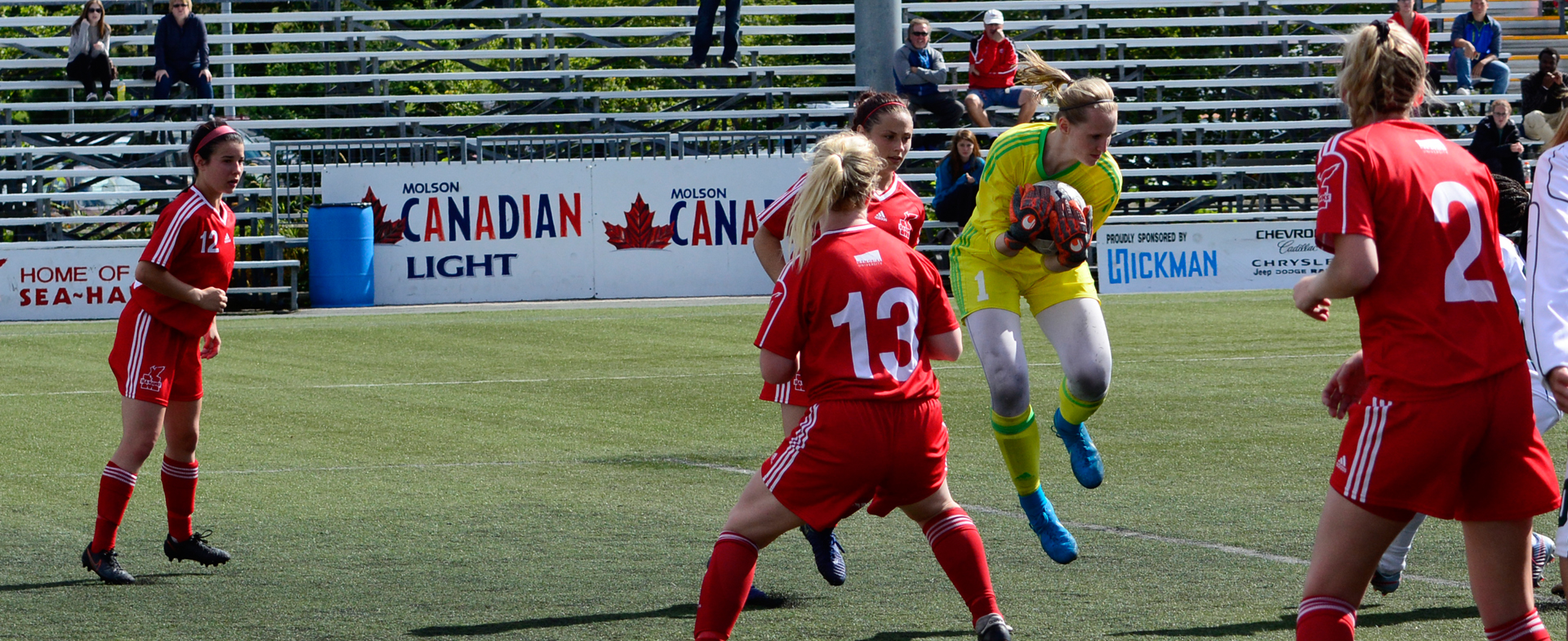 Sea-Hawks Hunting for Playoff Berth