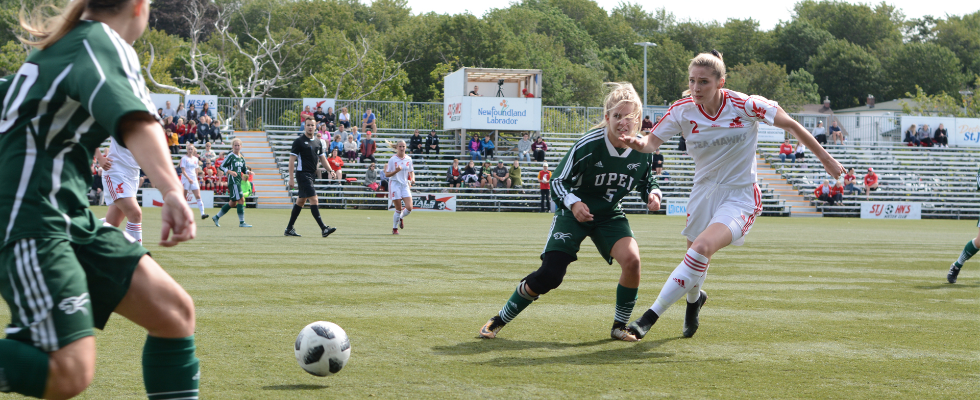 Sea-Hawks Head to New Brunswick