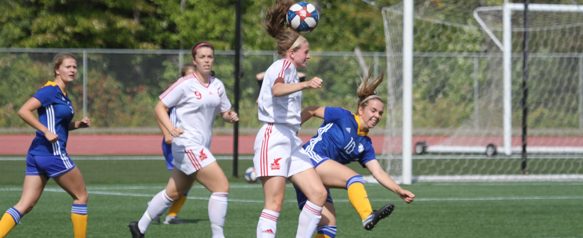 Sea-Hawks Host Tigers Ahead of Playoffs