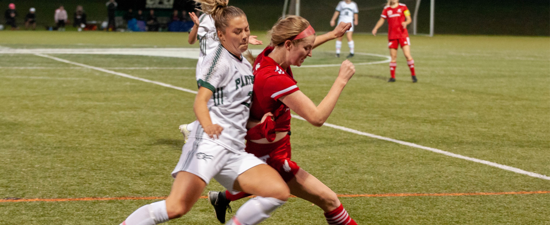 Sea-Hawks Eliminate Panthers
