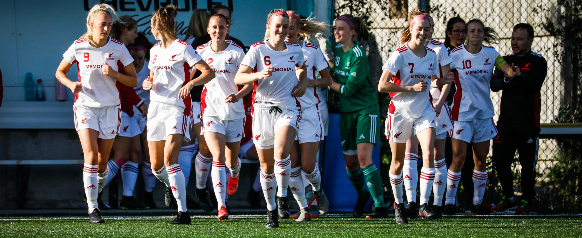 Hawks Earn 2-1 Victory Over Mount A