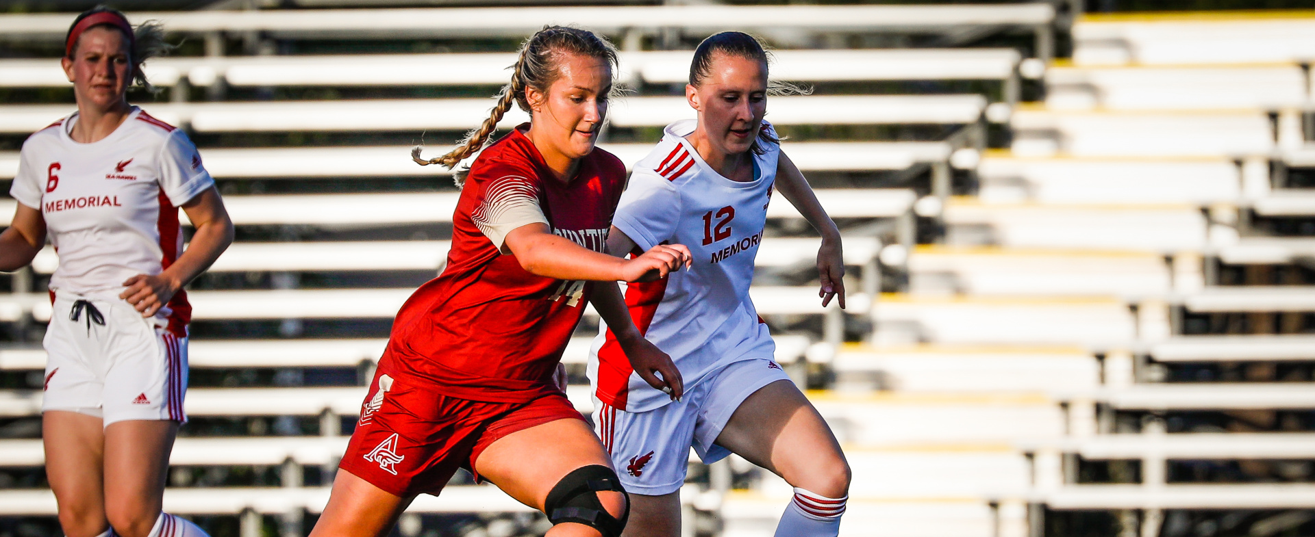 Sea-Hawks Head to Halifax for Weekend Series