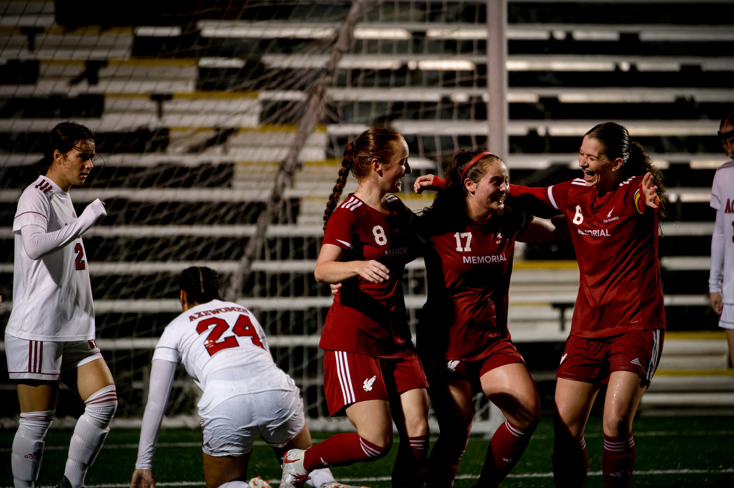 Sea-Hawks Playoff Run