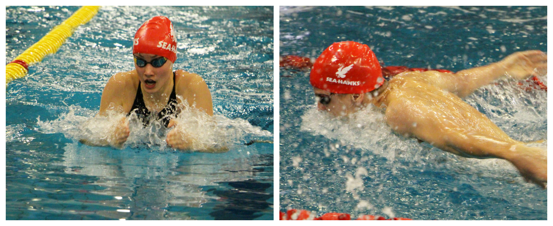 Foran Grabs 4 Gold to Lead Hawks