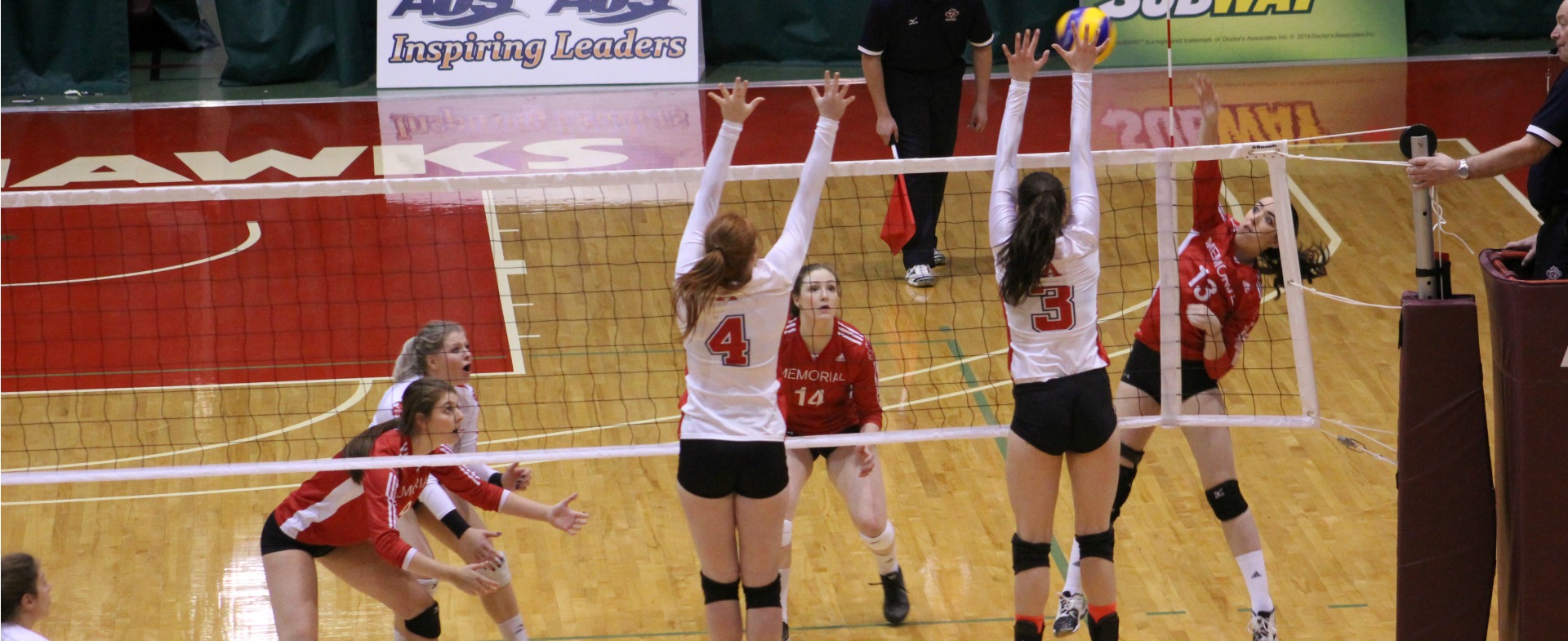 Hawks soar over Axewomen at home