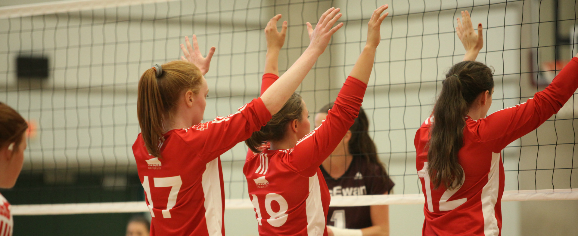 Sea-Hawks head to NS for preseason volleyball action