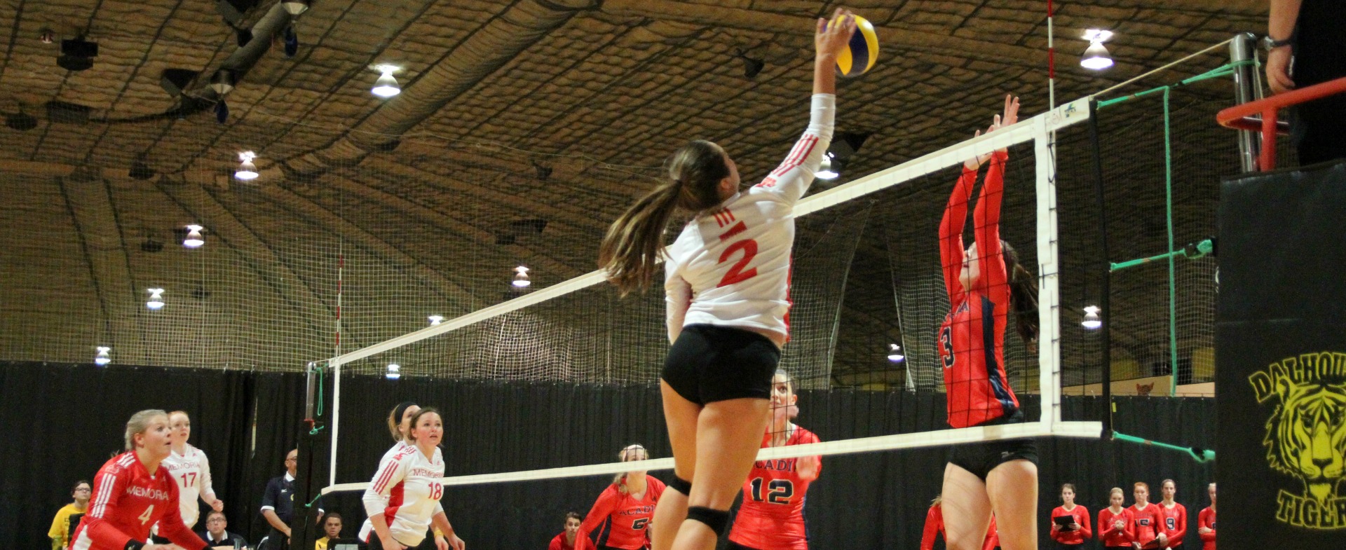 Memorial defeats Acadia in opener