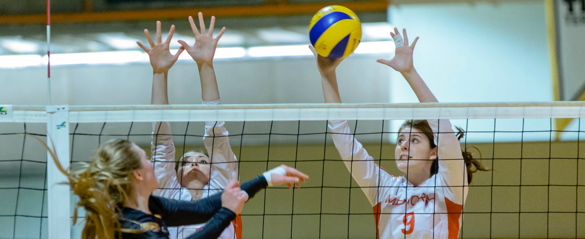 Tigers top Sea-Hawks in Halifax