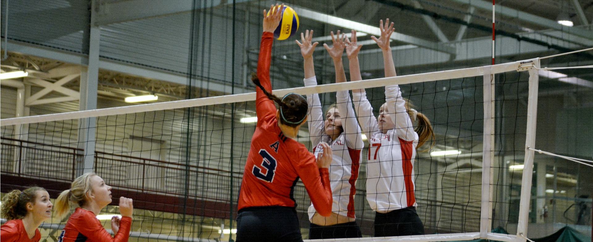 Sea-Hawks top Axewomen in straight sets
