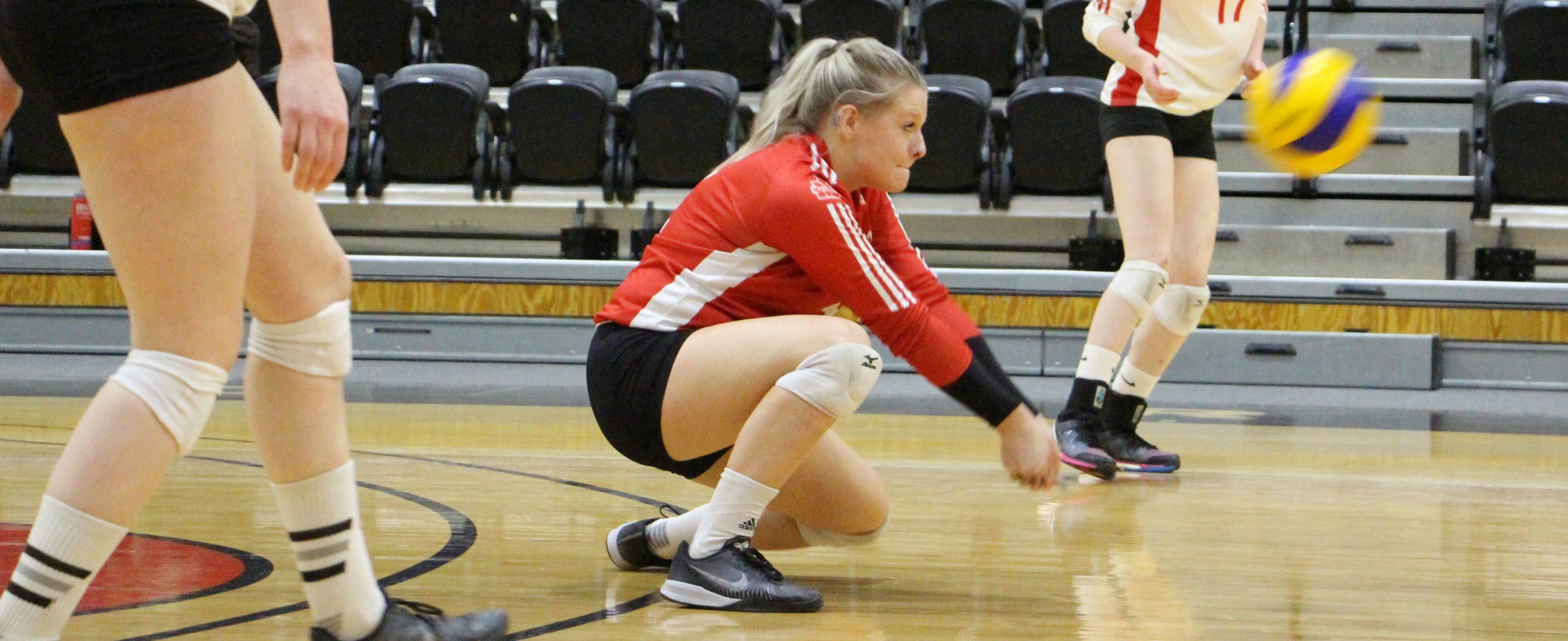 Sea-Hawks Stay Hot Versus UNB