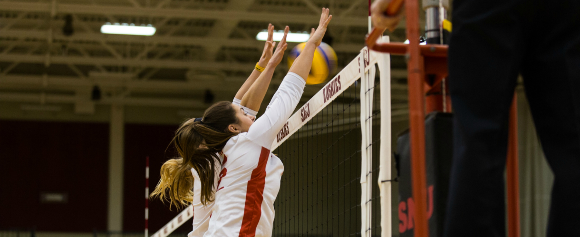 Tigers Top Sea-Hawks in AUS Final