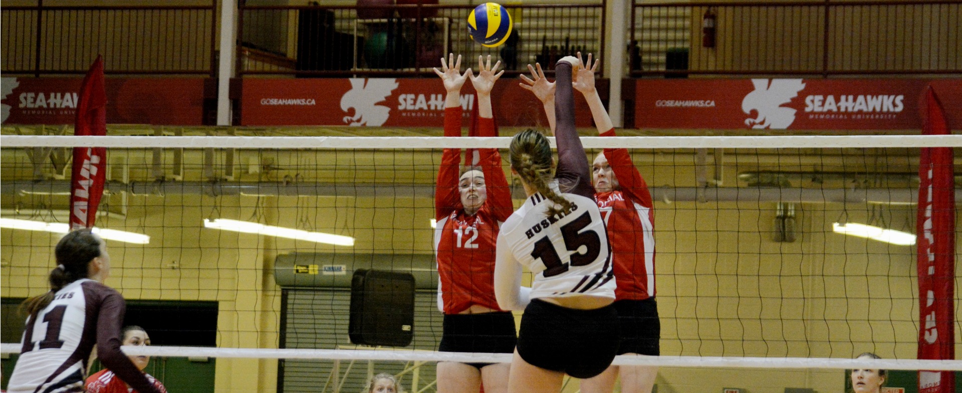 Sea-Hawks take Huskies in home opener