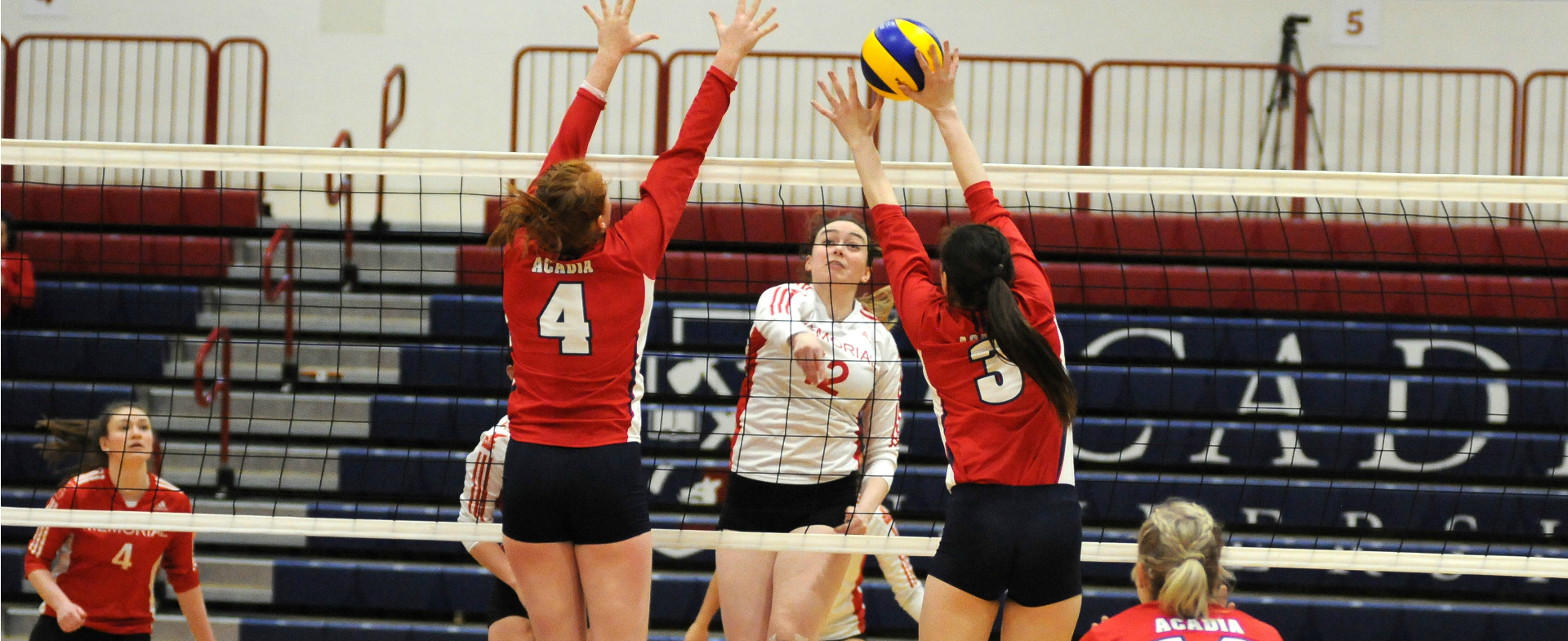 Axewomen Sweep Sea-Hawks 3-0