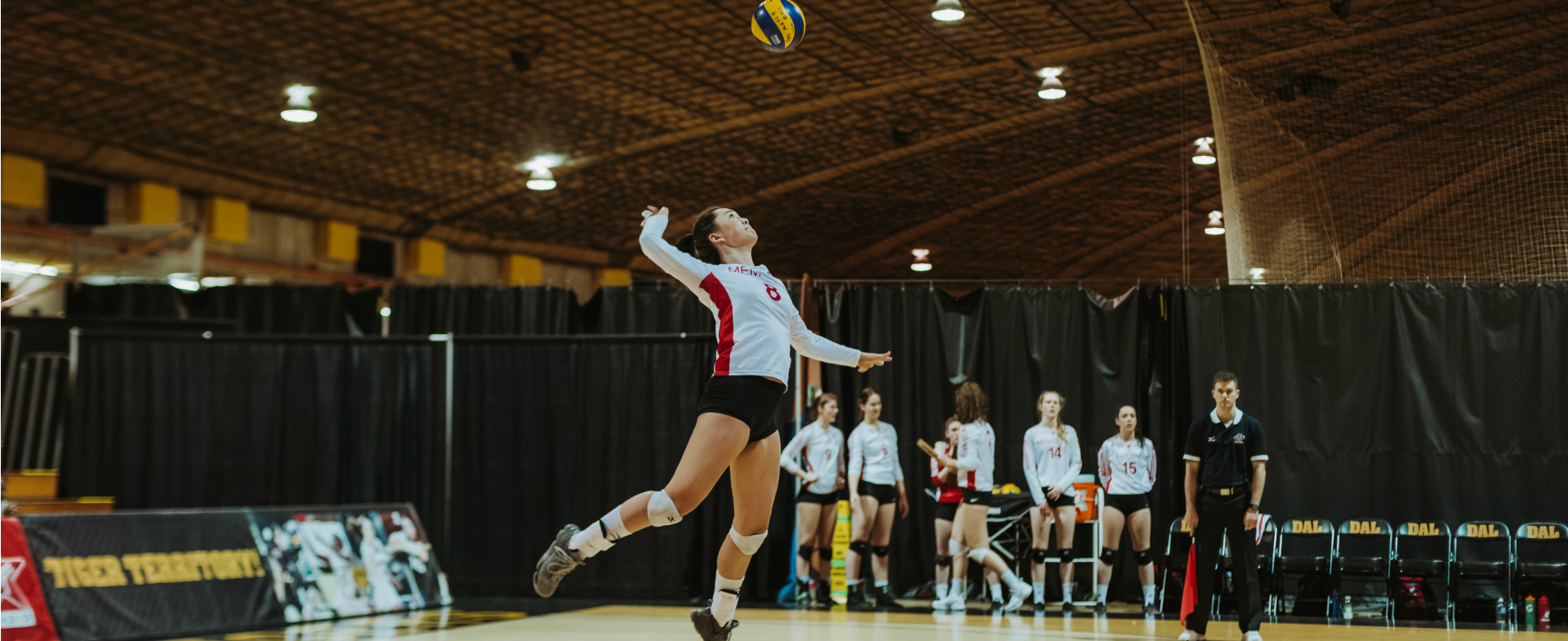 Tigers Sweep Sea-Hawks 3-0