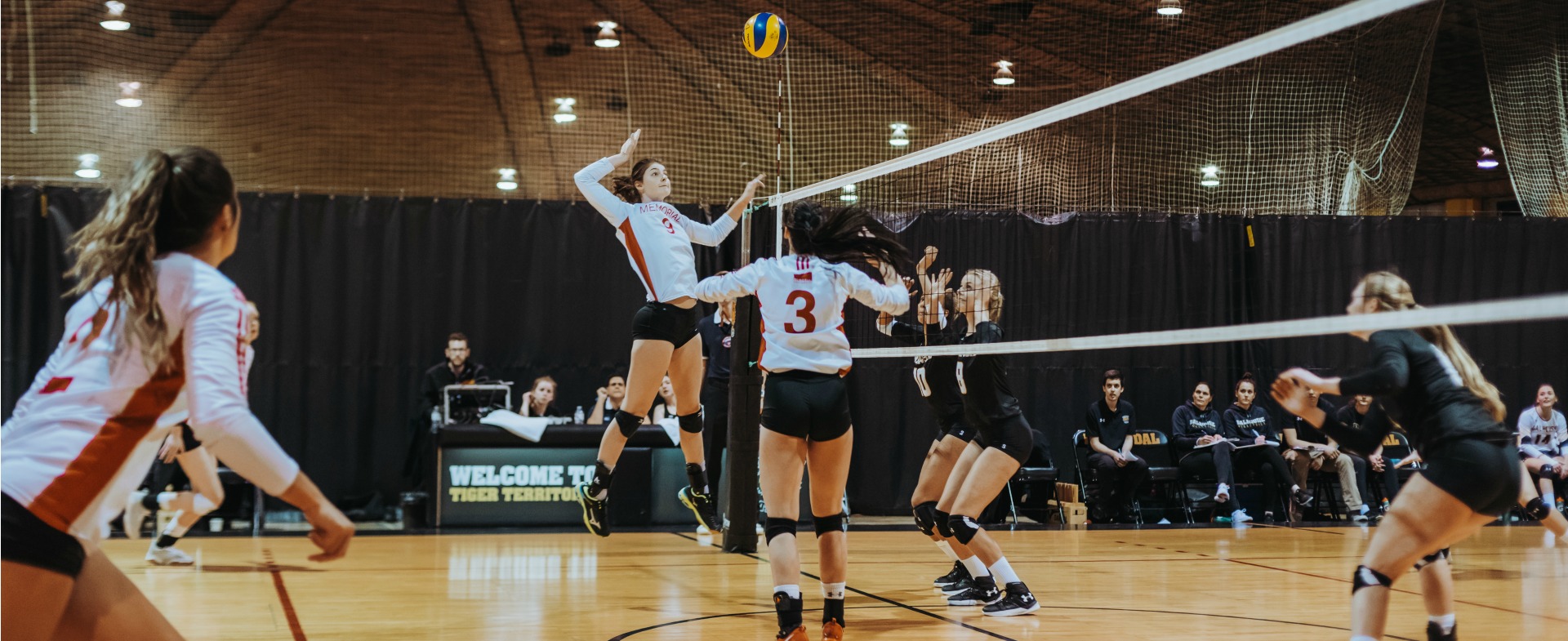 Tigers Sweep Sea-Hawks 3-0