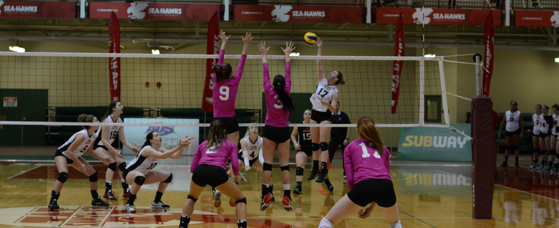Sea-Hawks Sweep Varsity Reds