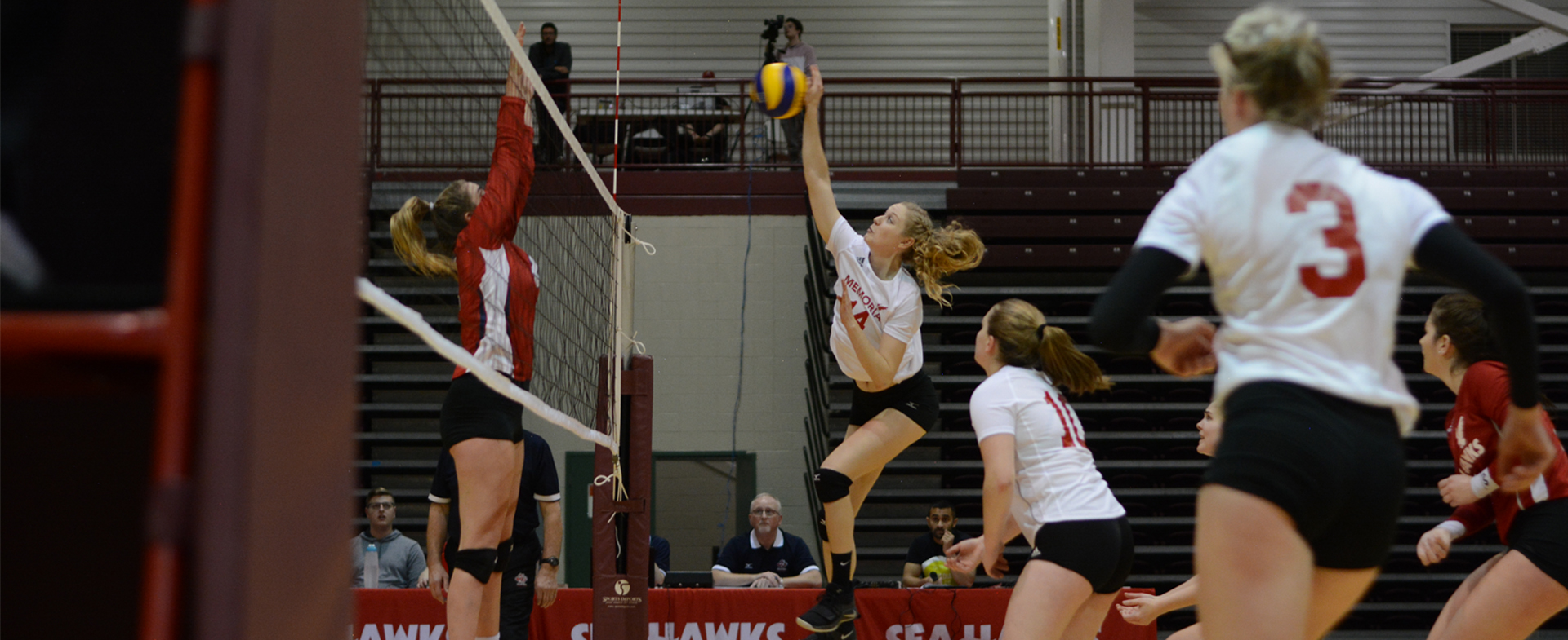 Sea-Hawks Drop Second Match