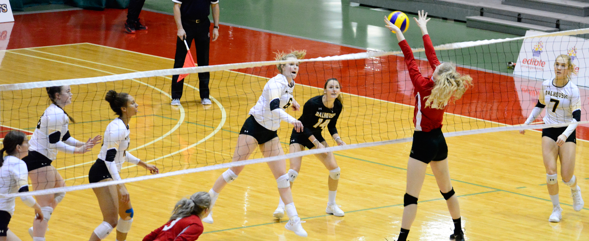 Tigers Take First Match of Weekend